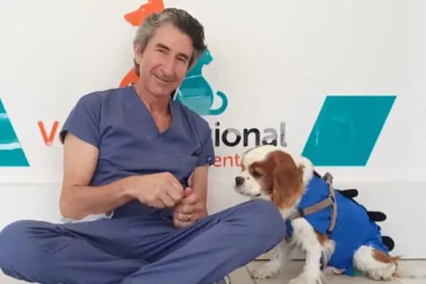 Vet International Özel Hayvan Hastanesi Kuşadası 7/24 - Hayvan Hastanesi - Aydın Kuşadası