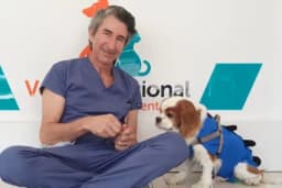 Vet International Özel Hayvan Hastanesi Kuşadası 7/24