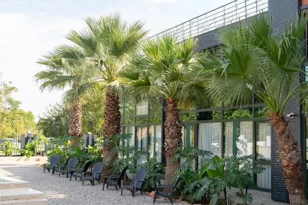 Inno Concept Business Antalya - Otel - Antalya Muratpaşa