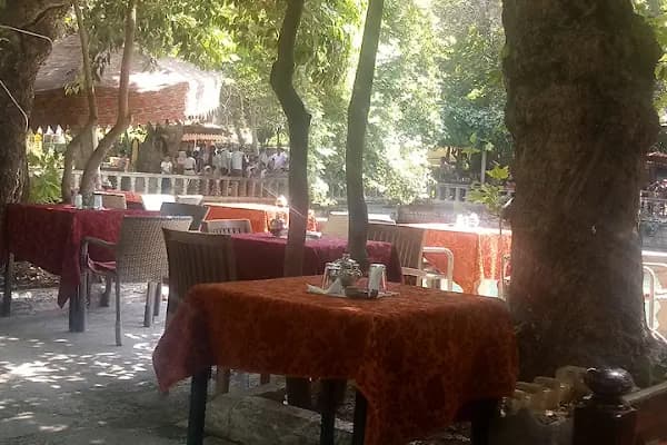 Birecik Birds Watching point..🦉🕊💙🇹🇷 - Kuş Gözlem Alanı - Şanlıurfa Ceylanpınar