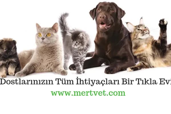 CEYHAN MERT VETERİNER KLİNİĞİ - Veteriner - Adana Ceyhan