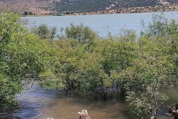 İzmir Aliağa Kapalı Ceza İnfaz Kurumu Müdürlüğü - Devlet Dairesi - İzmir Aliağa