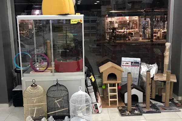 Rüzgar Petshop - Evcil hayvan mağazası - İstanbul Sarıyer