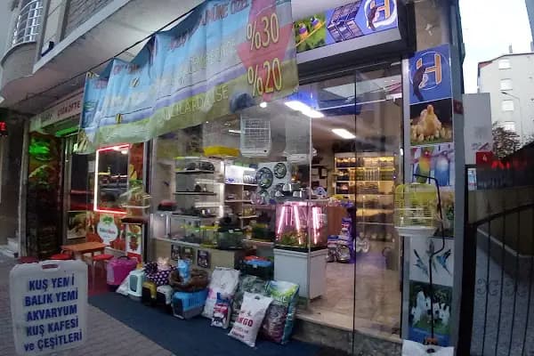 Hekimoğlu Petshop - Evcil hayvan mağazası - İstanbul Bağcılar