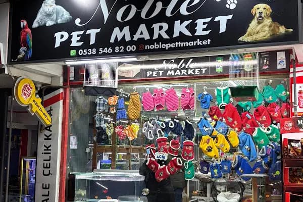 Noble Petshop ve akvaryum - Akvaryum Mağazası - Sakarya Serdivan
