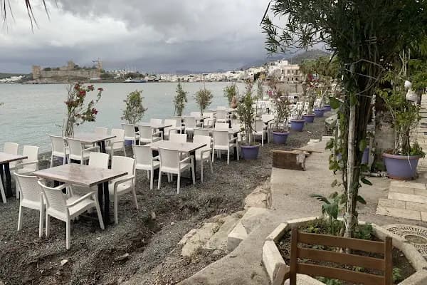 Penguen Cafe Restaurant - Restoran - Muğla Bodrum