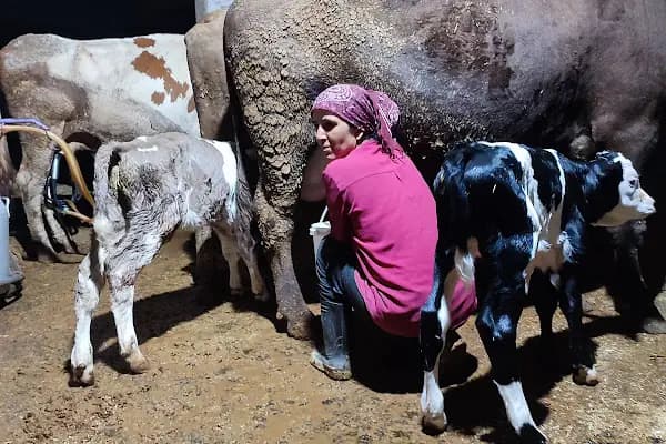 ANAMUR KAMERA&amp; GÜVENLİK SİSTEMLERİ&amp;BİLGİSAYAR TAMİRİ VE SATIŞ - Güvenlik Sistemi Tedarikçisi - Mersin Anamur