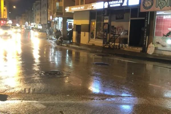Yeğenler Veteriner Muayenehanesi - Veteriner - Bursa İnegöl