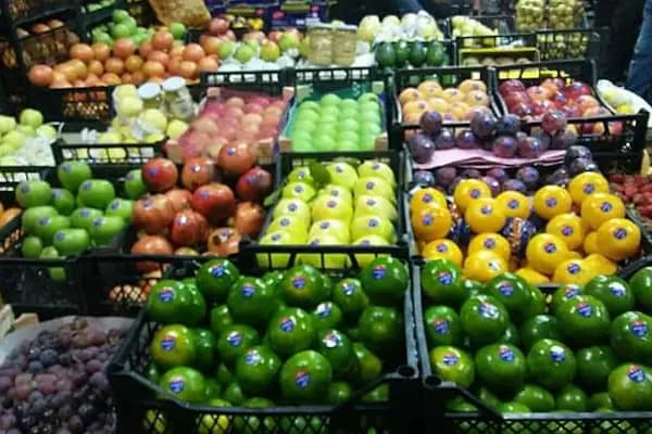 ÖZGÜR __ TiCARET (Sebze) (Meyve) Toptan Perekende Satış - Meyve Sebze Satış Yeri - İstanbul Bayrampaşa