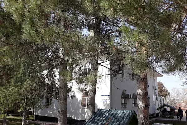 Balıkhisar Cami - Cami - Ankara Ayaş