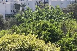 Akyarlar Bodrum Minibüs Durağı