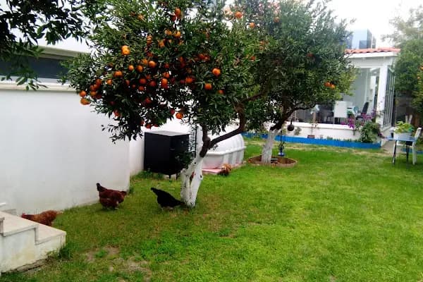 Ege Park Villaları - Konut Geliştirme - Muğla Bodrum