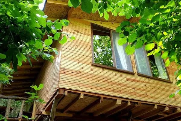 Küre Dağ Evi - Otel - Bartın Bartın Merkez