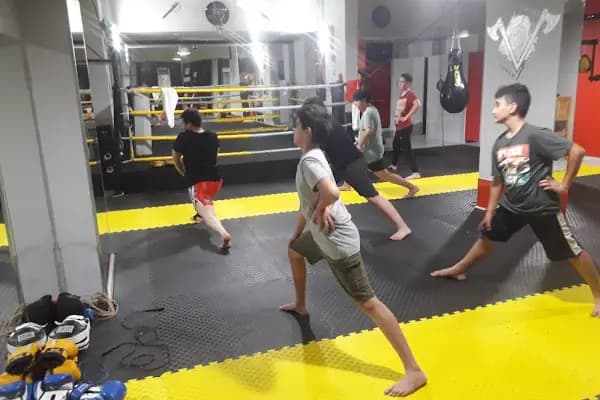 Viking Spor Okulu - Spor salonu - Adana Ceyhan