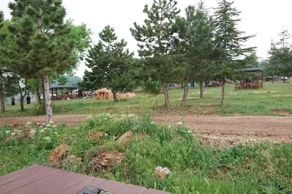 Park - Park - Konya Akşehir