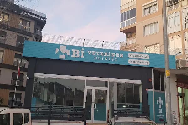 Bi Veteriner Kliniği - Veteriner - İstanbul Maltepe