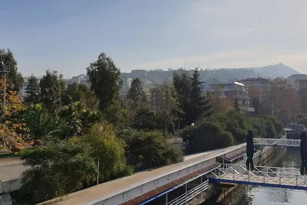 Akçaabat Belediye Balık Pazarı - Balık Hali - Trabzon Akçaabat