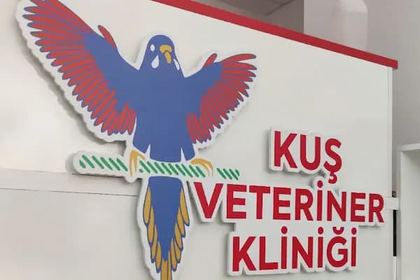Kuş Veteriner Kliniği - Veteriner - İzmir Bayındır