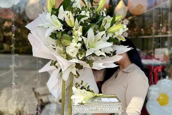 Begonia Çiçek Evi Çiçekçi - Çiçekçi - Kocaeli Çayırova