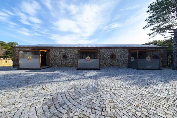 Mas Kaz Dağı Kamping - Kamp Alanı - Balıkesir Edremit