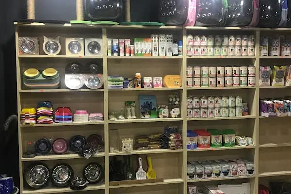 Rayfin Akvaryum Petshop - Evcil hayvan mağazası - İstanbul Bağcılar