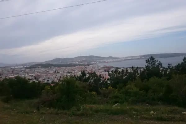 Aliağa Trafik Hatıra Ormanı - Ulusal Orman - İzmir Balçova