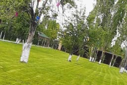 Doğa Park Piknik Alanı