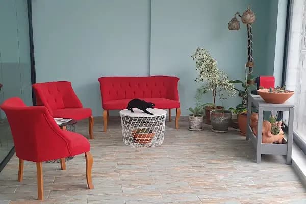 Armoni Veteriner Kliniği - Veteriner - Bursa İznik