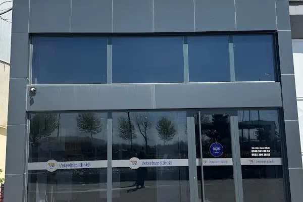 Borsa Veteriner Kliniği - Veteriner - Sakarya Adapazarı