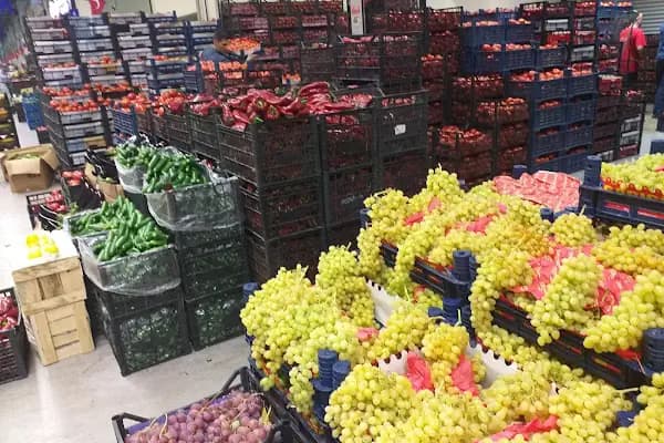 Kocaeli Sebze Meyve Hali - Köylü Pazarı - Kocaeli Başiskele