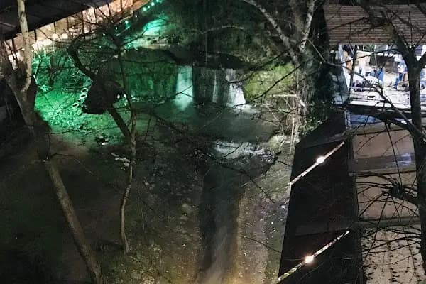 Foto Lale - Fotoğrafçı - Bursa Osmangazi