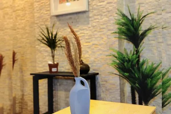 Seyran spa | bodrum - Spa - Muğla Bodrum
