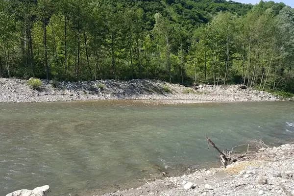 Yongalık kamping - Kamp Alanı - Sakarya Erenler