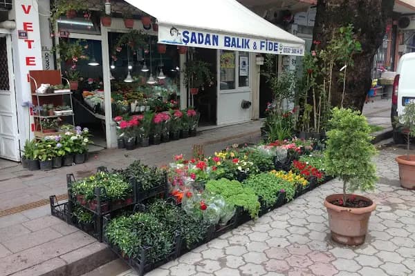 Hendek Şadan Çiçekçilik Fide Fidan Peyzaj Tohumculuk - Çiçekçi - Sakarya Adapazarı