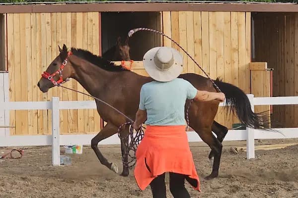 Kazdağları Binicilik Atlı Sporlar Kulübü Eğitim Merkezi - Binicilik Kulübü - Balıkesir Altıeylül