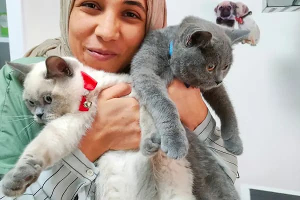 Yazır Veteriner Kliniği - Veteriner - Konya Selçuklu