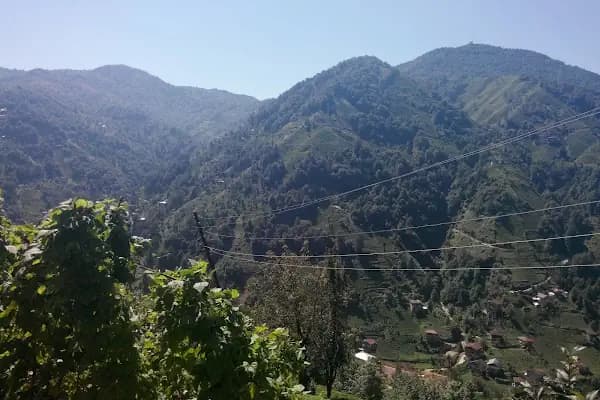 Pazar Yeri - Pazar - Trabzon Akçaabat