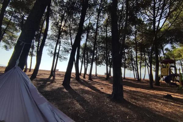 bursa Orhangazi Çamlıgı Piknik Alanı - Restoran - Bursa Kestel