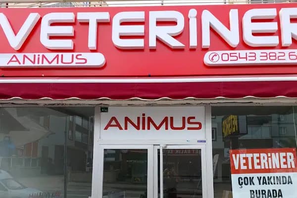 Hamitler Animus Veteriner - Veteriner - Bursa Osmangazi