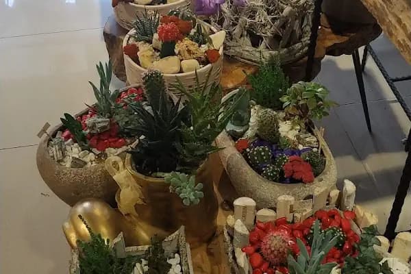 Lotus Çiçek Tasarım Dekorasyon - Çiçekçi - Balıkesir Karesi