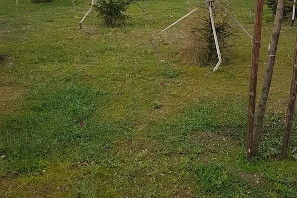 Ziraat Parkı - Park - Ankara Altındağ