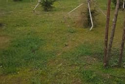 Ziraat Parkı