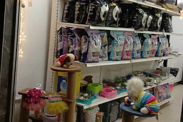 Angel Pet Shop ve Pet Kuaför - Evcil Hayvan Malzemeleri Mağazası - İzmir Buca