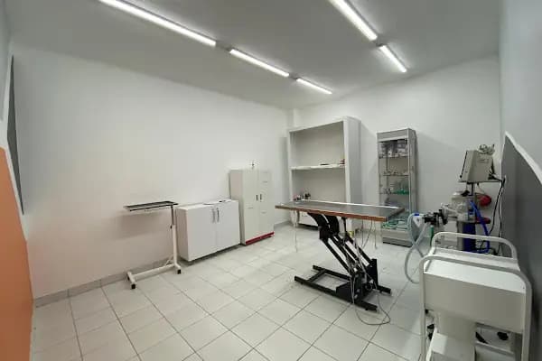LOTUSVET VETERİNER KLİNİĞİ - Veteriner - Konya Meram