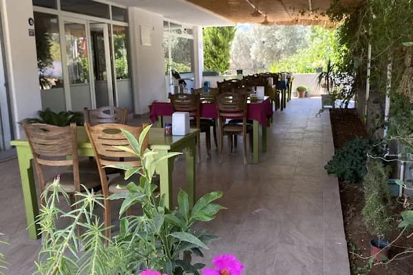 Zeytinli Bahçe Restaurant - Restoran - Muğla Bodrum