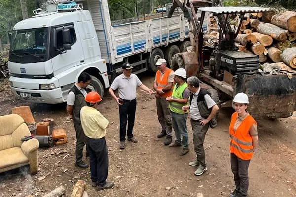 Oylat OİŞ Alaçam Orman Deposu - Ormancılık Hizmetleri - Bursa İnegöl