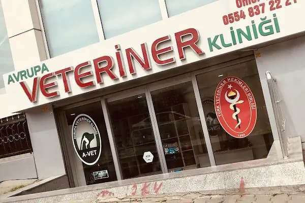 A Vet Avrupa Veteriner Kliniği - Veteriner - İstanbul Kâğıthane