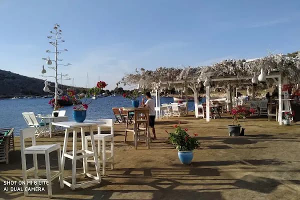 The Cafe Bite's - Kafe - Muğla Bodrum