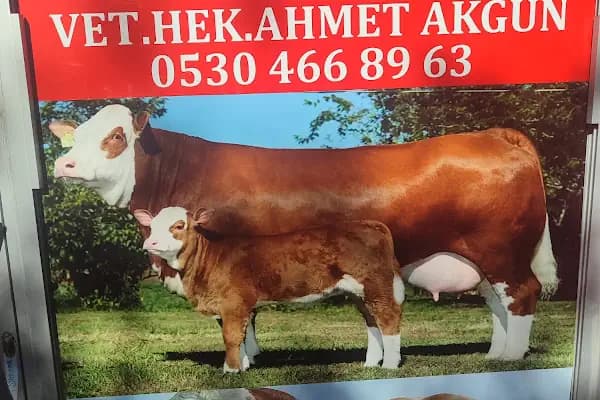 Bistin veteriner - Hayvan Hastanesi - Diyarbakır Çermik