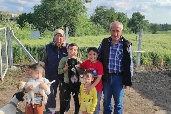 Oluş Hobi Bahçesi - Meyve Sebze Satış Yeri - Balıkesir Karesi